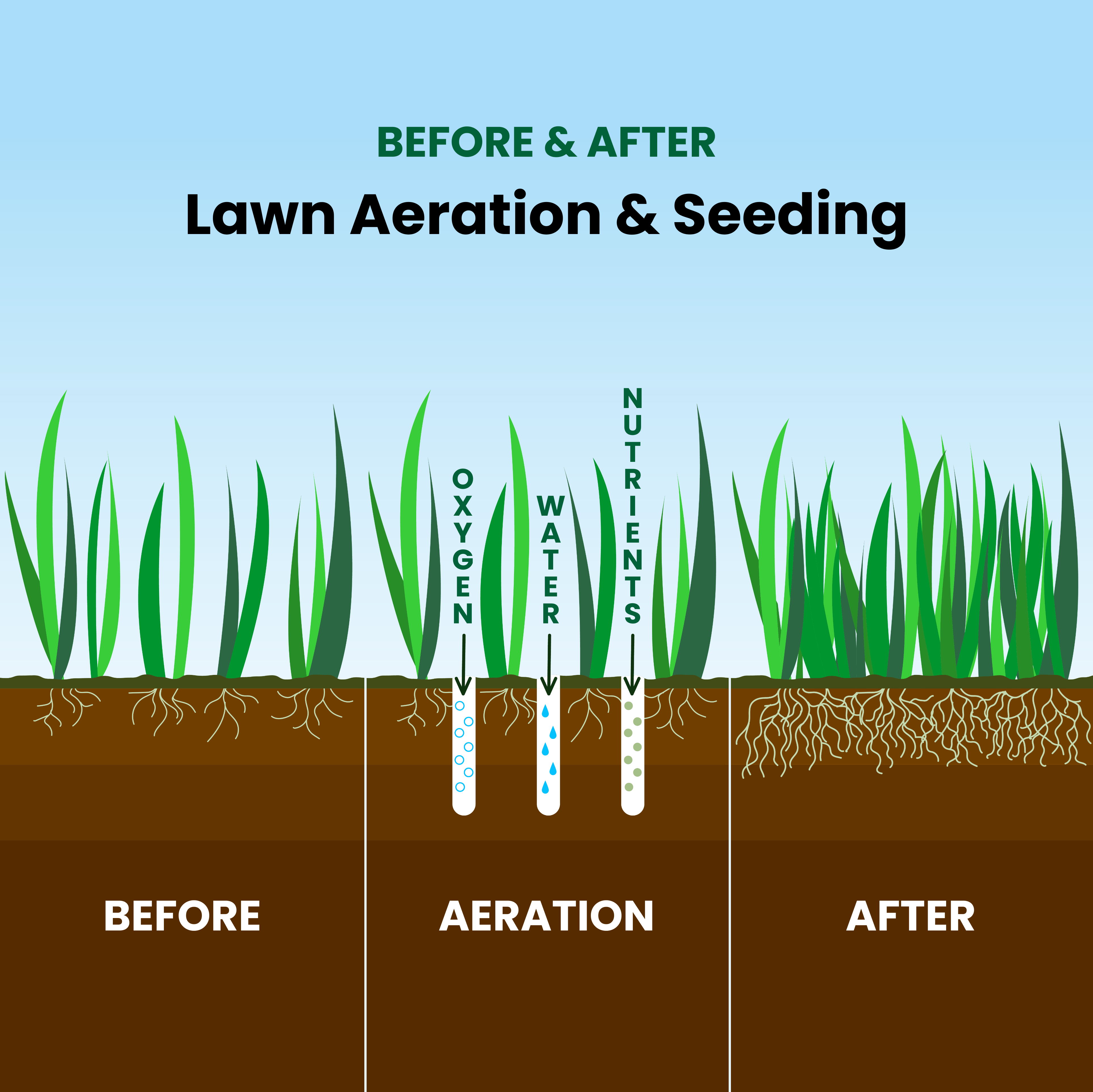 before and after aeration graphic