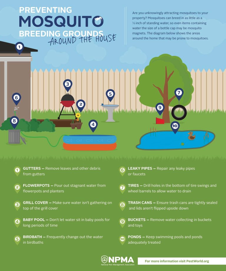 poster that shows common mosquito breeding grounds
